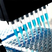 Set of test tubes filled with blue liquid